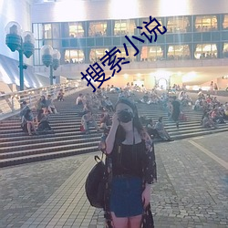 搜(sōu)索小说