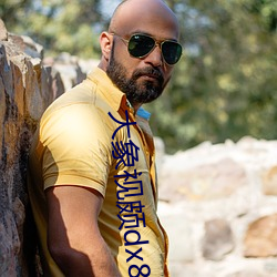 大象(象)视颇dx888xyz