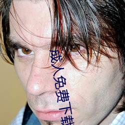 成人免费下载软
