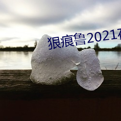 狠痕鲁2021在 （百思不得其解）