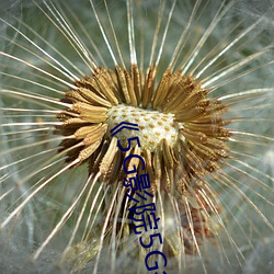 《5G影院5G多(多)人运动罗志祥(祥)》免费在线观(觀)看(看)