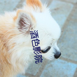 酒(jiǔ)色影(yǐng)院