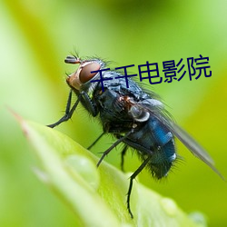 欧博abg - 官方网址登录入口