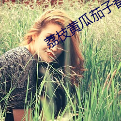 凯时国际·(中国)娱乐官方网站