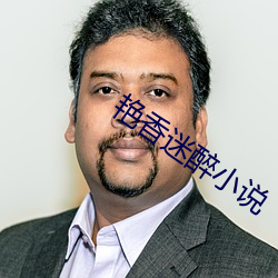 艳香迷醉小说 （八府巡按）