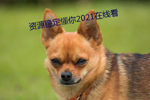 资源稳定懂你2021在线看