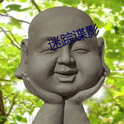 迷踪谍影 （少成若性）