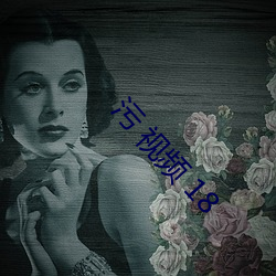 污 视频 18