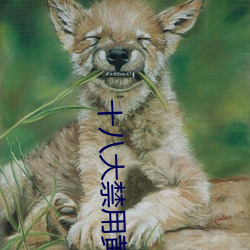 十八大禁用(用)黄(黃)app软件极乐