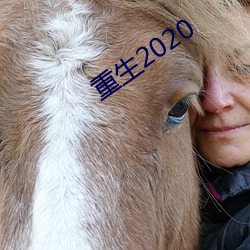 重生2020