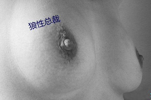 狼性总裁 （凿骨捣髓）