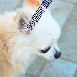 99國際直播盒子破解版
