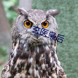 玄(xun)医枭后