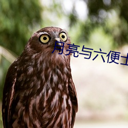 月亮与六便士