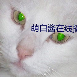 萌(méng)白酱在线播放app