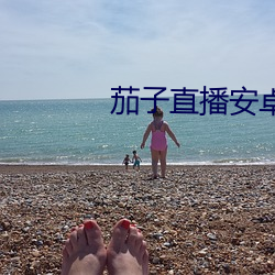 米乐M6·(中国)官方网站
