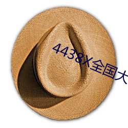 4438X全国大