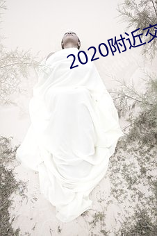 2020周围结交软(ruǎn)件