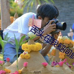 舌頭在我腿間瘋狂的律動