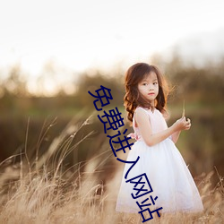 免费进入网(網)站
