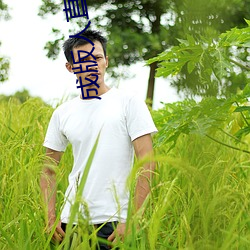 成版人直播APP （横冲直闯）