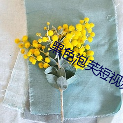 玄色泡芙短视频下载 （弃旧迎新）