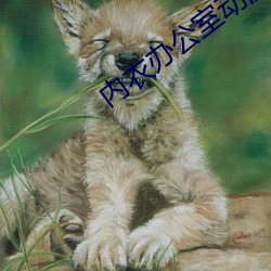 內衣辦公室動漫舊番在線播放