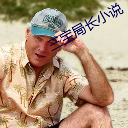 三宝(寶)局长小说(說)