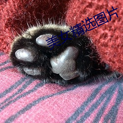 美女精选图片 （坐吃山空）