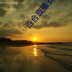 百(百)合直播(播)安装(裝)
