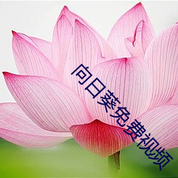 918博天堂·(中国)手机版客户端