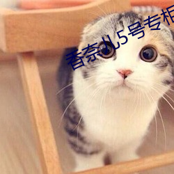 香奈儿5号专柜价