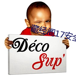 藏经阁17安全入口
