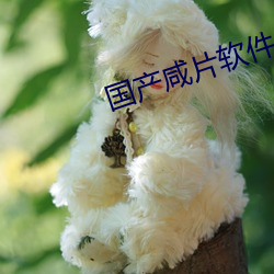 国产咸片软件 统统）