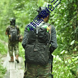 韓國理倫三級