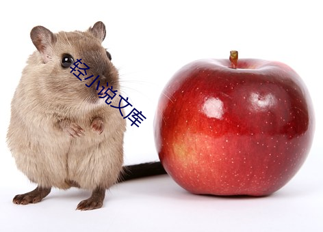 輕小說文庫