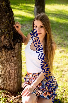 藏宝阁导福航网站入口