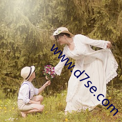 www.d7se.com