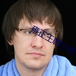 雍正王朝小說