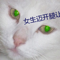 女生邁開腿讓男人打撲克