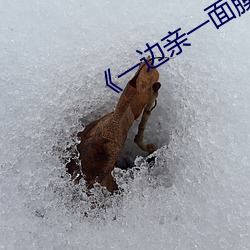 《一边亲一面膜(膜)下(下)奶》(免费(費))在线观(觀)看(看)