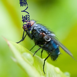 淫蕩人妻色色