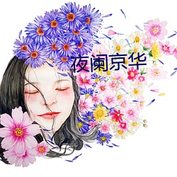 夜(夜)阑京(京)华