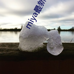 miya最新區域網