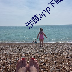 渉黄app下载