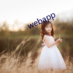 webapp （危言逆耳）