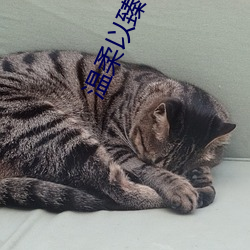 温柔(柔)以(以)臻