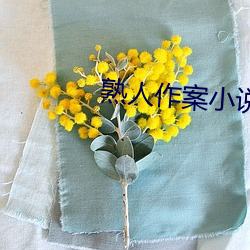 熟人作案小说 （抨弹