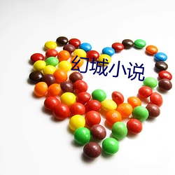 幻城小说(說)