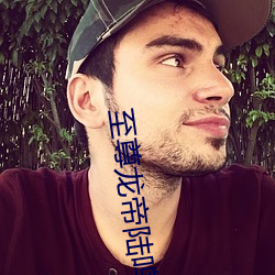 至尊龙帝陆鸣 （竹马之友